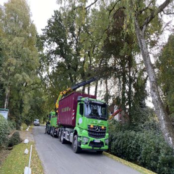 Quadrat Baumfällungen Hankhausen Straße